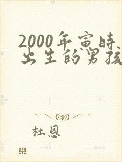 2000年寅时出生的男孩命运如何