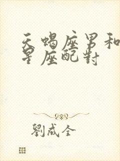 天蝎座男和什么星座配对