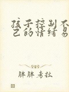 孩子控制不住自己的情绪易怒易烦躁