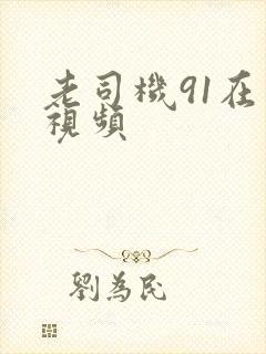 老司机91在线视频