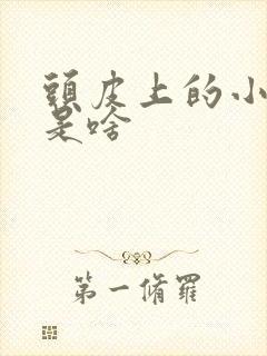 头皮上的小疙瘩是啥