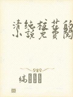 清纯校花的秘密小说免费阅读