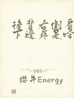 后背右侧肩胛骨下边疼是啥原因