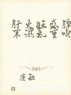 肝火旺盛脾胃虚寒湿气重吃啥药