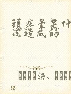 头疼晕是什么原因造成的