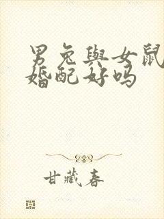 男兔与女鼠属相婚配好吗