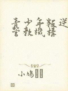 青少年叛逆少年管教机构