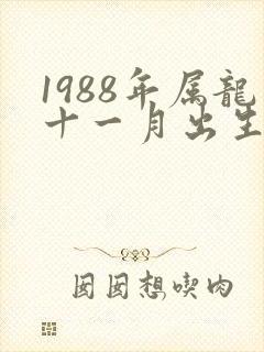 1988年属龙十一月出生命运