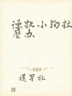 德牧小狗拉稀怎么办