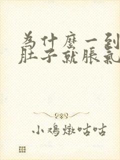 为什么一到晚上肚子就胀气总想放屁封面