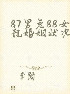 87男兔88女龙婚姻状况