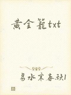 黄金笼txt