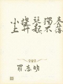 小提琴独奏草原上升起不落的太阳封面