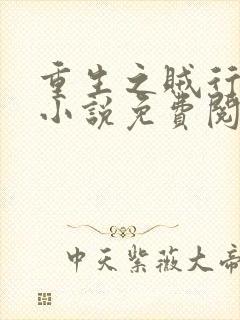 重生之贼行天下小说免费阅读