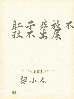 肚子疼放不出屁拉不出屎