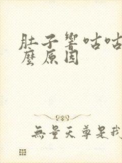 肚子响咕咕叫什么原因