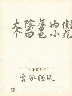 大阴唇内侧长了个白色小疙瘩