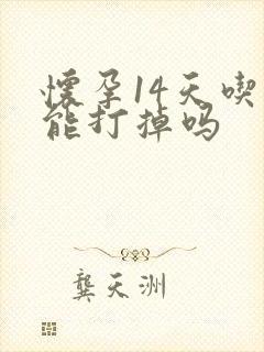 怀孕14天吃药能打掉吗