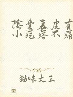 阴囊表皮有很多小疙瘩不痛不痒