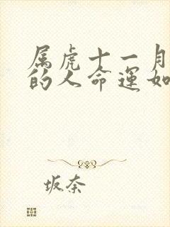 属虎十一月出生的人命运如何