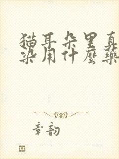 猫耳朵里真菌感染用什么药最好封面