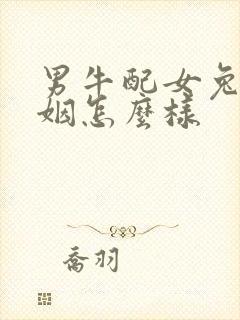 男牛配女兔的婚姻怎么样封面