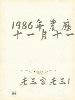 1986年农历十一月十一出生的人命运如何