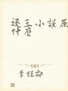 逐玉小说原著叫什么