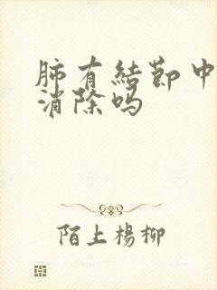 肺有结节中医能消除吗