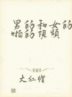 男的和女的啪啪啪的视频