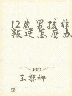 12岁男孩非常叛逆怎么办封面