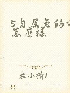 5月属兔的命运怎么样