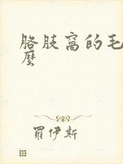 胳肢窝的毛叫什么封面