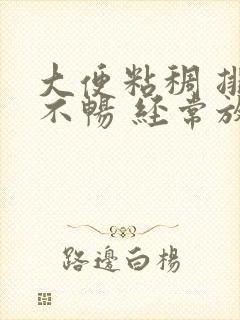 大便粘稠 排便不畅 经常放屁