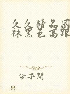 久久精品国产丝袜黑色高跟鞋封面