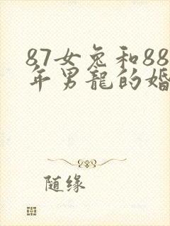 87女兔和88年男龙的婚姻怎么样