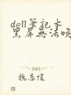 dell笔记本黑屏无法唤醒