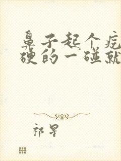 鼻子起个疙瘩硬硬的一碰就疼