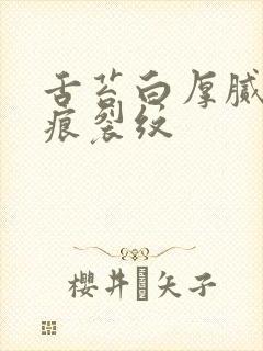 舌苔白厚腻有齿痕裂纹