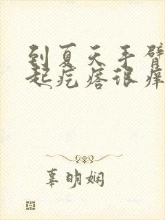 到夏天手臂上就起疙瘩很痒