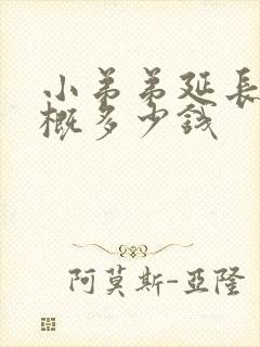 小弟弟延长术大概多少钱