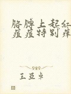 胳膊上起红色的痘痘特别痒怎么回事封面