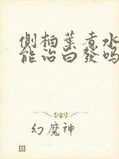 侧柏叶煮水洗头能治白发吗