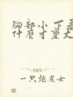 胸部小 下垂用什么才变大变挺