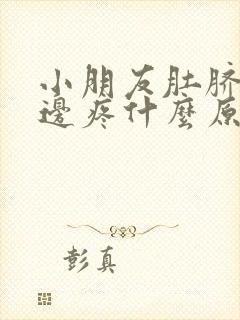 小朋友肚脐眼左边疼什么原因封面