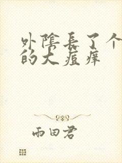 外阴长了个硬硬的大痘痒