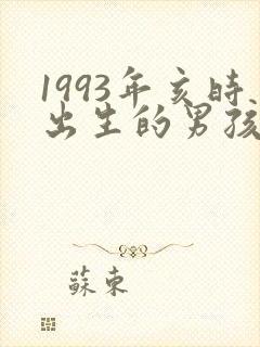1993年亥时出生的男孩命运