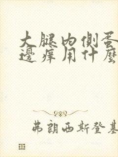 大腿内侧蛋蛋旁边痒用什么药膏