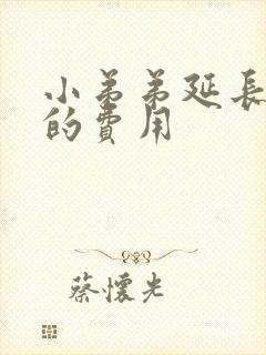 小弟弟延长手术的费用