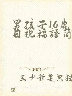 男孩子16岁生日祝福语简短